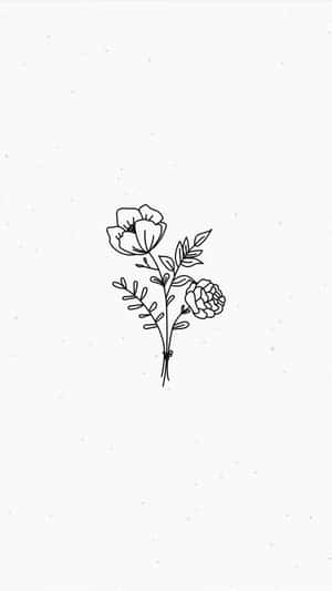 Fundal Alb Estetic — Estetic alb Fundal