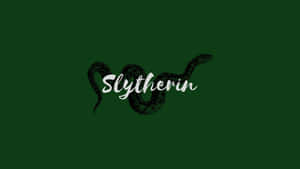 Imagini cu estetica Slytherin