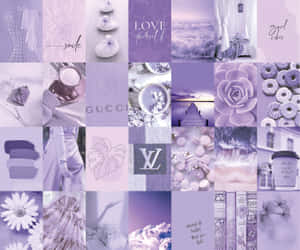 Colaj Violet