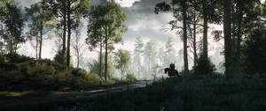 Fond de ecran ultra-wide cu peisaje forestiere din jocul The Witcher 3. — 3440x1440 Fundal