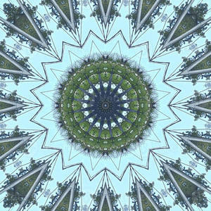Trippy Estetic