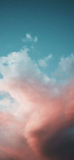 1170x2532