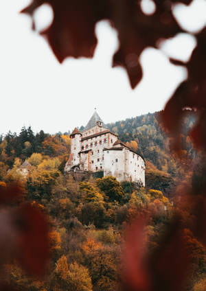 Preview wallpaper castel, arhitectură, colină, pădure — OnePlus Pad 2 Pro Fundal