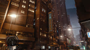 Fundal Sleeping Dogs — Câini adormiți Fundal