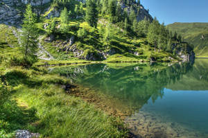 Munte verde cu copaci coniferi și lac curat.