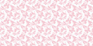 Coquette