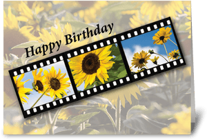 Felicitare cu Peliculă și Floarea-Soarelui de Ziua de Naștere - Happy Anniversary Mom And Dad Sunflower, Descărcare HD PNG