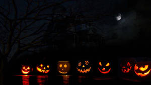 Felinare Halloween Înfricoșătoare și Drăguțe — Drăguț estetic Halloween Fundal