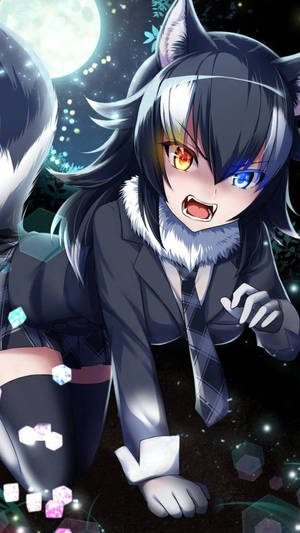 Fetita-lup anime drăguță pentru avatar — Anime drăguță fată Fundal