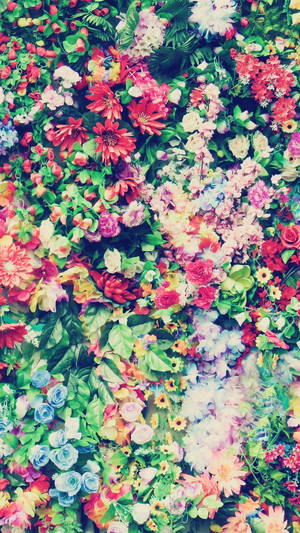 Floare Colorate Asortate Floral Iphone — Floral iPhone Fundal