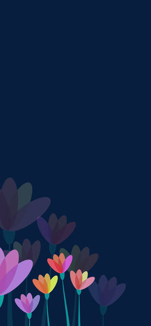 Floare de Crocus Apple — iPhone Air Fundal