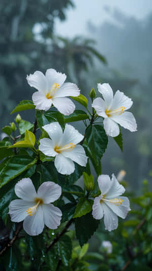 natură,floare,floral,fundal,primăvară,ploaie,copac,verde,tropical,înflorire,grădină,frumos,frunze,macro,natural,floare albă,estetic,ai generativ,generativ ai,imagine de fundal