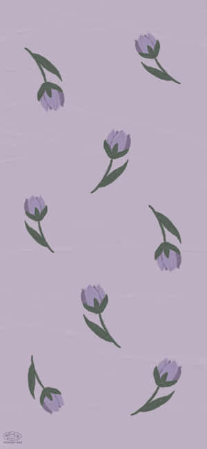 Floare Violet Suculentă — Oppo A Fundal