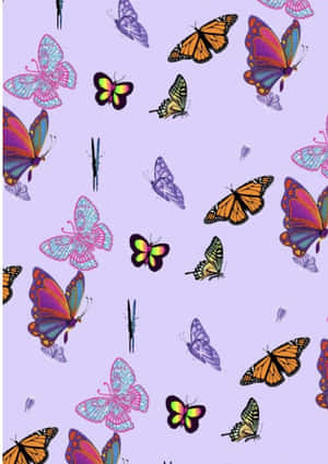 Fluture mov drăguț — Mov violet estetic Fundal