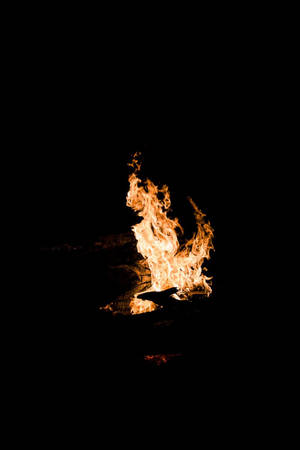 Tapet Foc de Tabără Oled