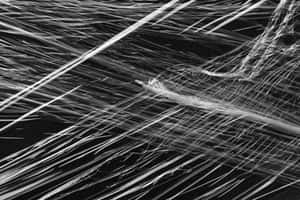 Plastic Negru — Surface Fundal