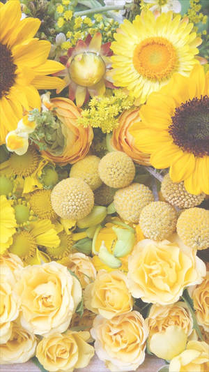 Fond de ecran iPhone cu flori galbene — Floral iPhone Fundal