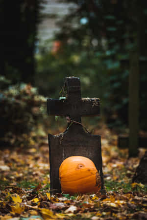 Fond de Halloween la rezoluție înaltă — Halloween iPhone Fundal
