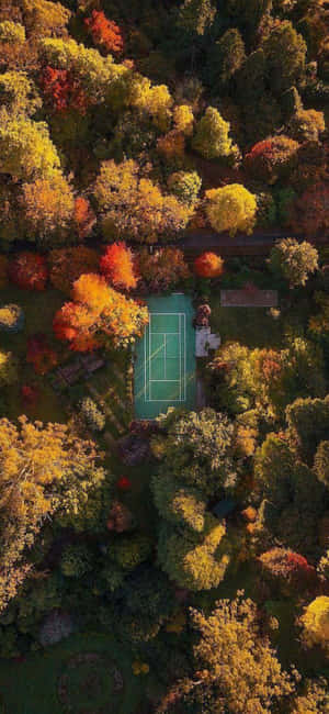 Fond Iphone Xs Tenis — Tecno Pop Fundal