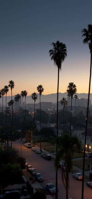 Fundal California iPhone X — Honor X80i Fundal