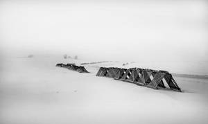 Fond de ecran fotografie alb-negru de iarnă — Rece Fundal