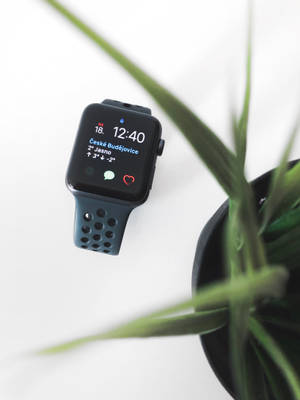 Apple Watch fotografie estetica wallpaper — Apple Watch Fundal