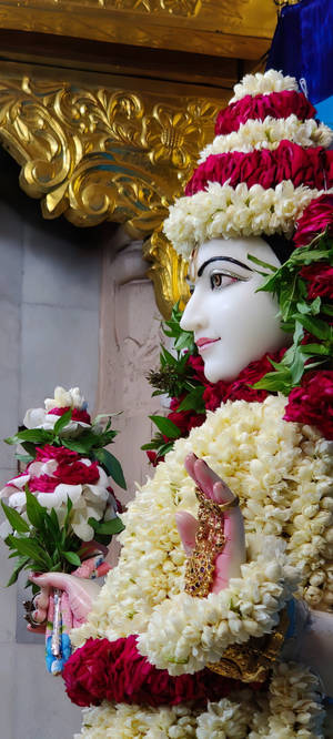Frumoasă Statuie Krishna Maharaj — Honor Magic V6 Fundal