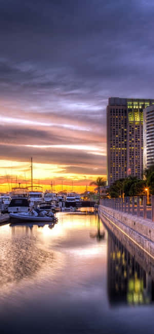 San Diego iPhone [wallpaper] — Oppo A6s Pro Fundal