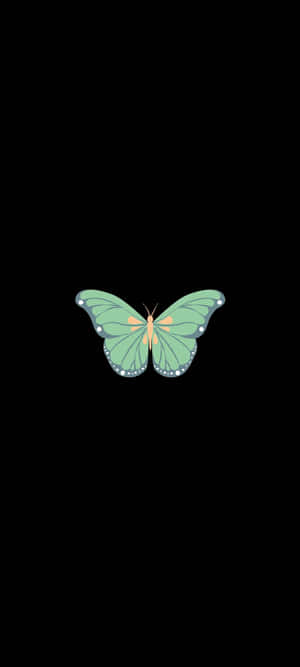 Fluture Verde — 20:9 Fundal