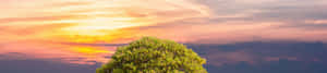 Fundal natură 4K — Natura 4K Fundal