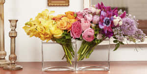 Imagini florale — Floral Fundal