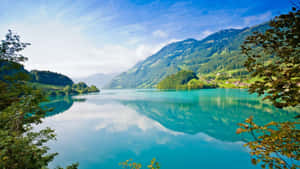 Imagini 1600X900