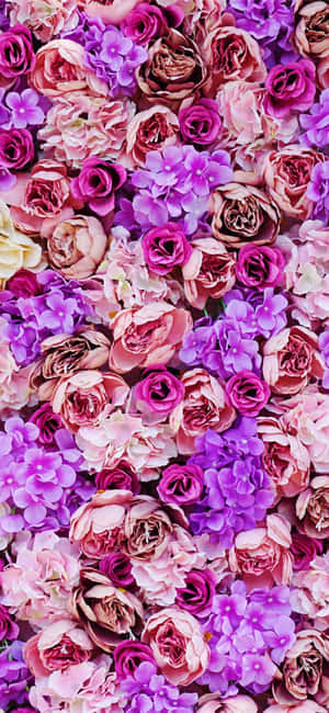 Imagini cu flori violet — Honor Magic8 Fundal