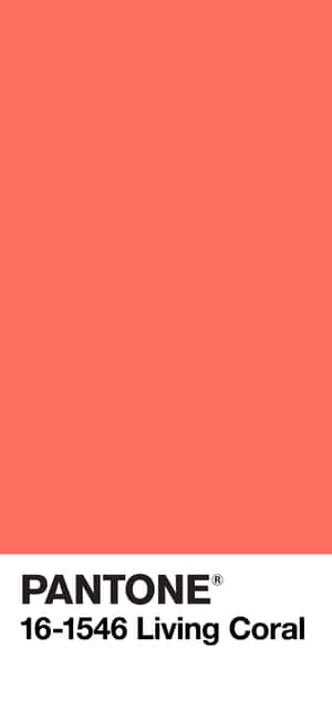 Fundal coral — CMF Phone Fundal
