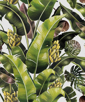 Banana leaf with tropical fruits, banana and coconut, wallpaper. — Motorola Razr Ultra 2025 Fundal