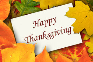 Frunze Uscate Drăguțe de Ziua Recunosținței — Thanksgiving drăgut Fundal