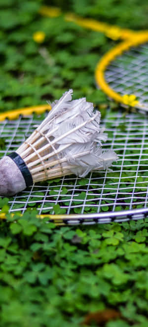 Pixel 3 Badminton Fundal — 20:9 Fundal