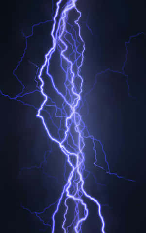 Fulger electric [fundal]