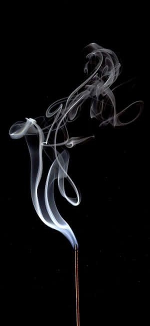 1170x2532 — iPhone 15 Fundal