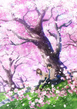 Fundal Anime Cherry Blossom — iPad Air 11 Fundal