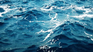 Fundal Ocean — Valuri oceanice Fundal
