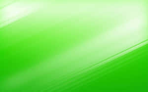 Fundal Verde Deschis — Estetică verde deschis Fundal