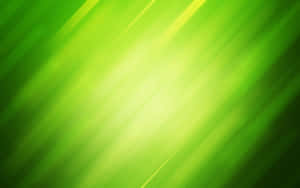 Fundal Verde Deschis — Artă abstractă Fundal