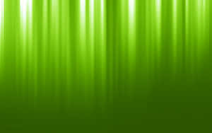 Fundal Verde Deschis — Estetică verde deschis Fundal