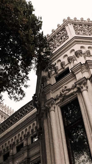 Fundal Dark Academia