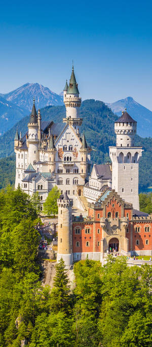 Fundal de munte cu Castelul Neuschwanstein — Pixel 11 Fundal
