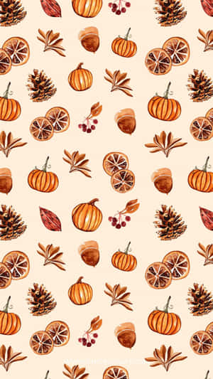 Fundal drăguț de Ziua Recunoștinței — Thanksgiving drăgut Fundal