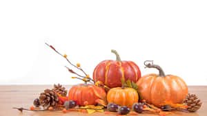 Fundal drăgut de Ziua Recunosținței — Thanksgiving drăgut Fundal
