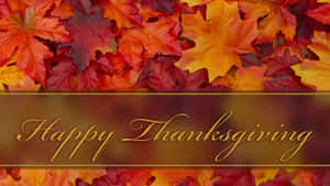 Fundal drăguț de Ziua Recunosținței — Thanksgiving drăgut Fundal