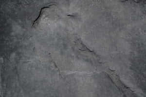Fundal estetic gri — Estetic Gri Fundal
